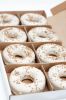 LoLo Gourmet Donut - Vanilla - (BULK)