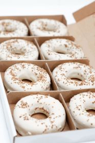 LoLo Gourmet Donut - Vanilla - (BULK)